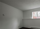 175 Pine Drive photo 24
