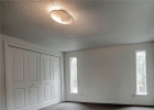175 Pine Drive photo 29