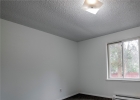 175 Pine Drive photo 32