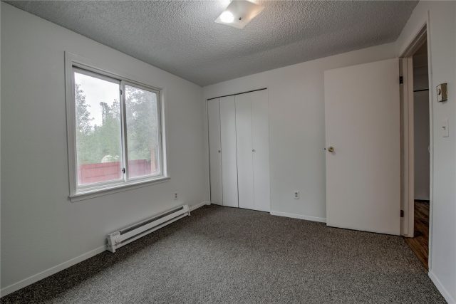 175 Pine Drive photo 44