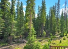 5621 French Gulch Road photo 32