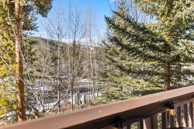 Condo in Trappers Crossing Condo, Keystone, CO — photo 3 (MLS S1070026)