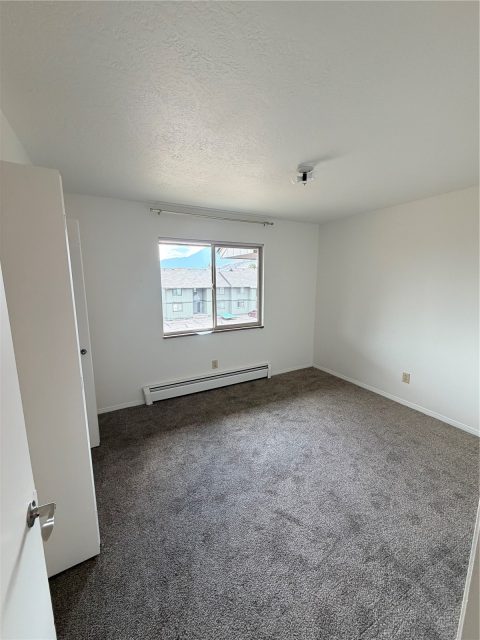 923 Straight Creek Drive 302 photo 21