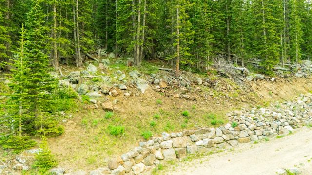 355 Quandary View Drive photo 9