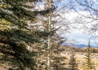37 Tally Ho Court 110 photo 12 37 Tally Ho Court 110 photo 12