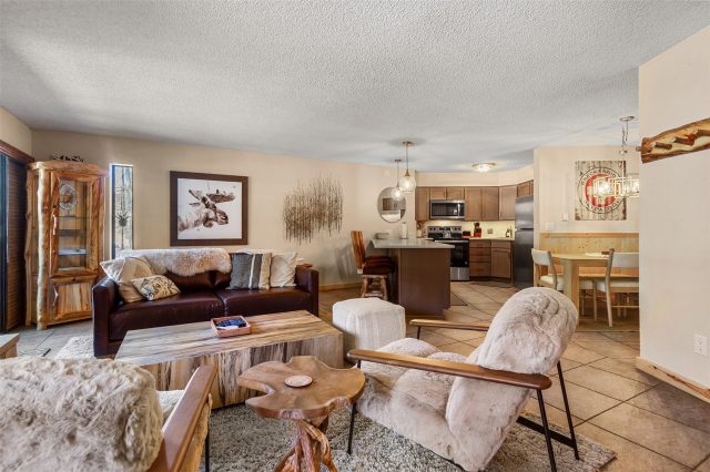 Condo in Pine Ridge Condo, Breckenridge, CO — photo 1 (MLS S1070097)
