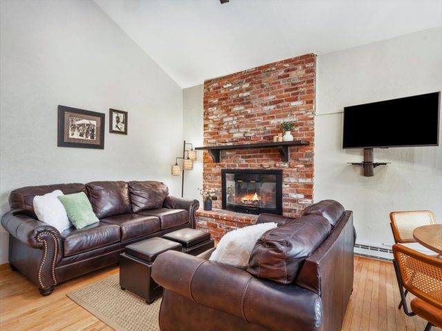 Condo in Mother Lode Condo, Breckenridge, CO — photo 2 (MLS S1070101)
