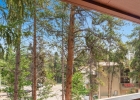 800 Columbine Road 11 photo 7 800 Columbine Road 11 photo 7