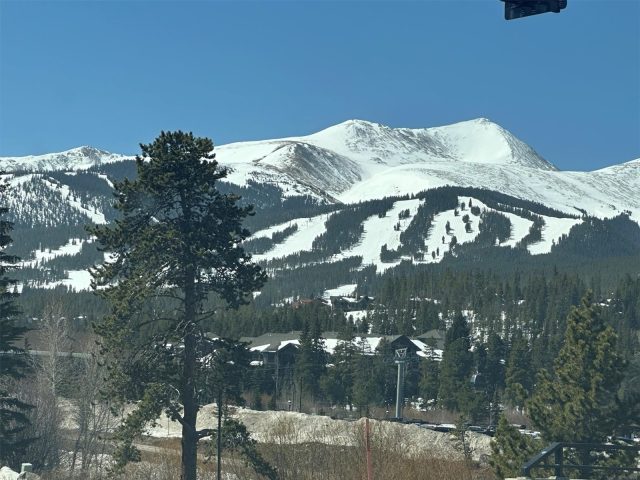 Condo in Edelweiss Condo, Breckenridge, CO — photo 6 (MLS S1070103)