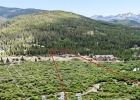 2383 Tiger Road photo 10