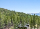 2383 Tiger Road photo 13