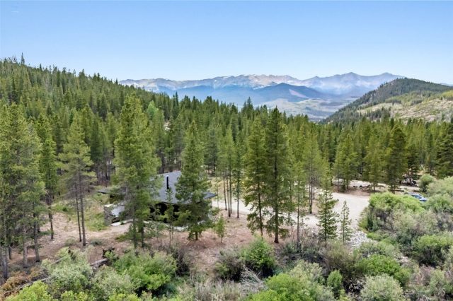 Home in Swan River Valley P.u.d., Breckenridge, CO — photo 1 (MLS S1070109)