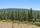 2383 Tiger Road photo 46