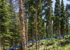34 Camron Lane photo 6 34 Camron Lane photo 6