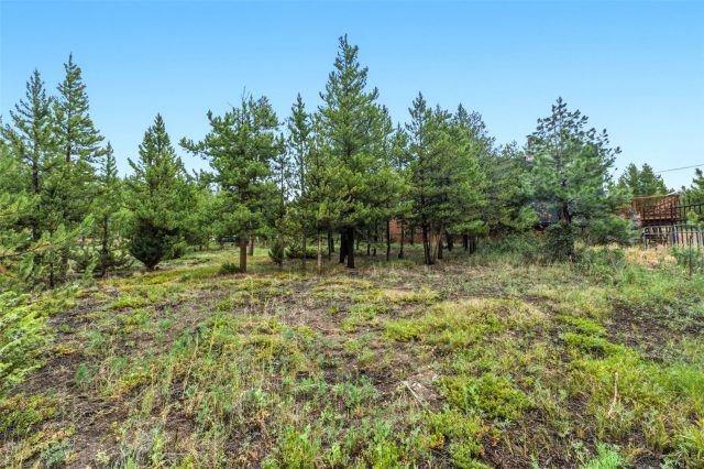137 B Road photo 29