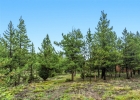 137 B Road photo 29 137 B Road photo 29