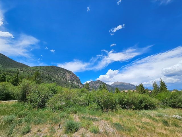 Home in Bills Ranch Sub, Frisco, CO — photo 6 (MLS S1070131)