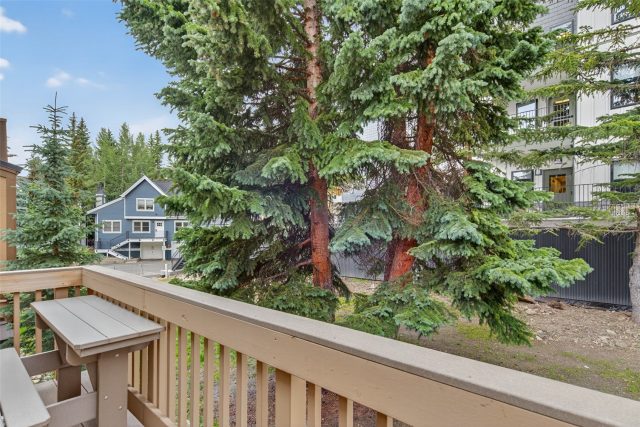 205 Primrose Path 15 photo 14