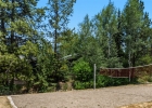 1977 Soda Ridge Road 1168 photo 17