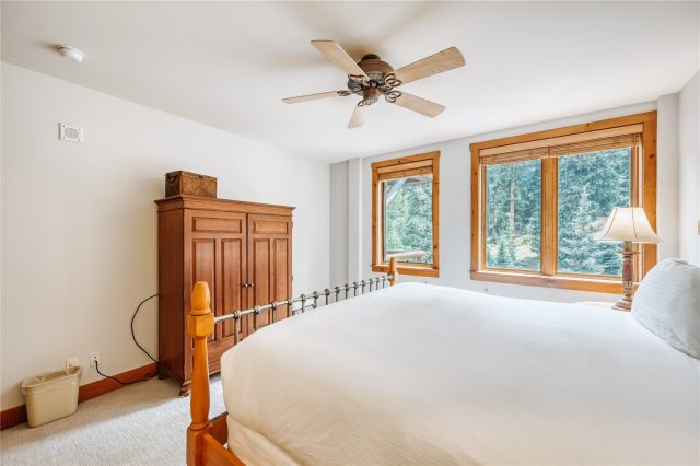 224 Trailhead Drive 3078 photo 11
