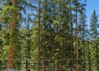 301 Quandary Road photo 40