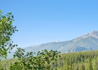 91200 Ryan Gulch Road 91227 photo 9 91200 Ryan Gulch Road 91227 photo 9