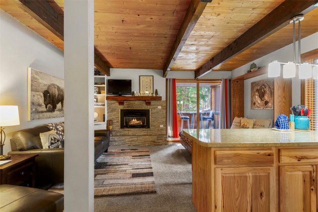 Condo in Mother Lode Condo, Breckenridge, CO — photo 2 (MLS S1070187)