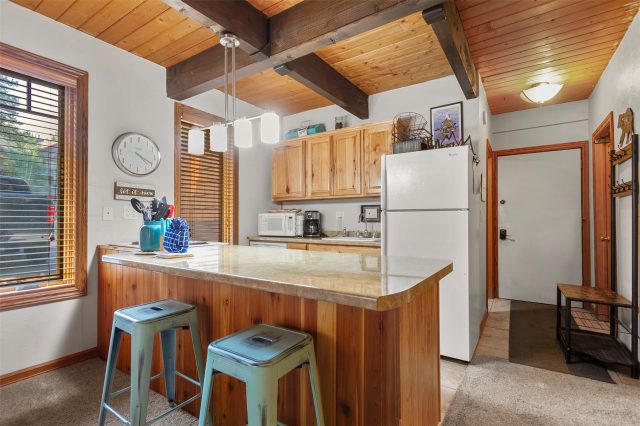 Condo in Mother Lode Condo, Breckenridge, CO — photo 3 (MLS S1070187)