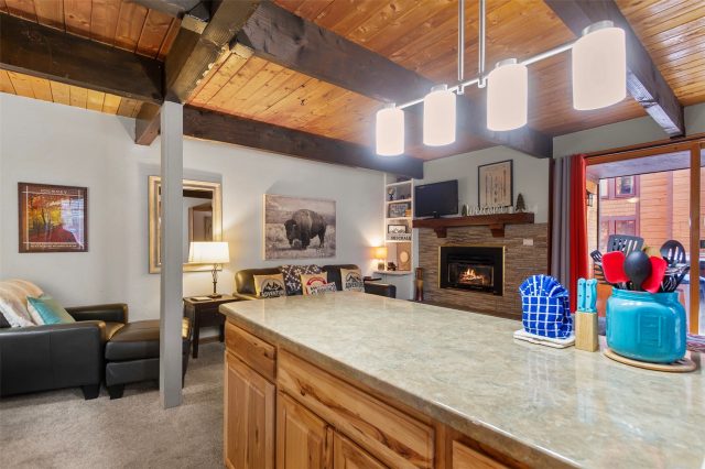 Condo in Mother Lode Condo, Breckenridge, CO — photo 4 (MLS S1070187)