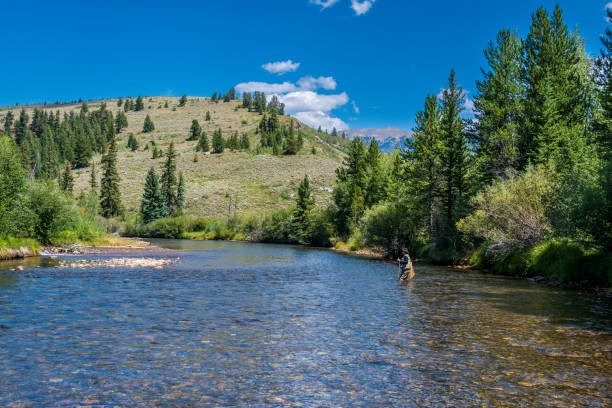 Land in Angler Mountain Ranch Sub, Silverthorne, CO — photo 4 (MLS S1070200)