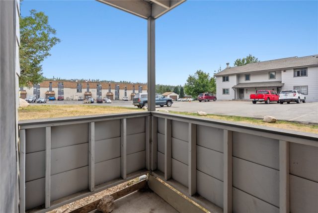 615 Straight Creek Drive 101 photo 19
