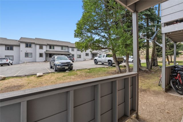 615 Straight Creek Drive 101 photo 20