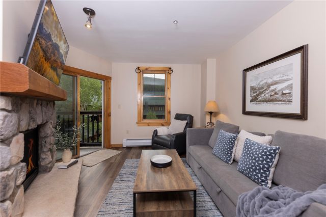 Condo in Buffalo Lodge And The Dakota Condos, Keystone, CO — photo 2 (MLS S1070207)