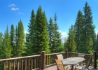 496 Hamilton Lane photo 47
