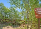 4040 Silverheels Drive 24 photo 38