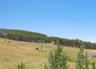 1891 Ski Hill Road 7303 photo 31 1891 Ski Hill Road 7303 photo 31