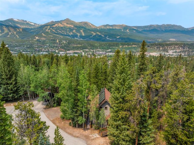 43 Ski Trail Circle photo 38