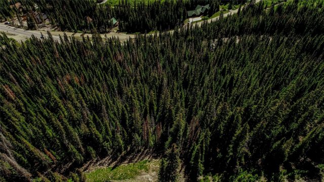 Land in Quandary Village Sub Aka Northstar Village, Breckenridge, CO (MLS S1070263)