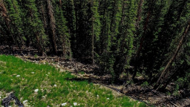 434 Carroll Lane photo 20
