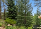 2050 Currant Way photo 40