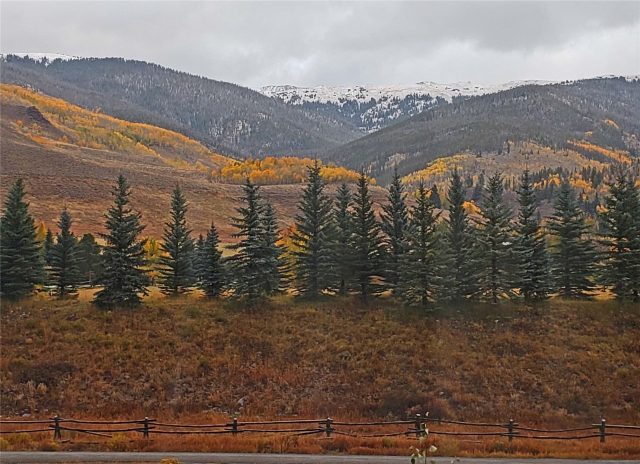 837 Sage Creek Canyon Drive photo 41