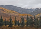 837 Sage Creek Canyon Drive photo 41