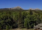 837 Sage Creek Canyon Drive photo 45