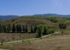 837 Sage Creek Canyon Drive photo 48