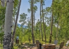 1179 Maryland Creek Road photo 45