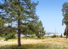 160 E La Bonte Street 201 photo 36