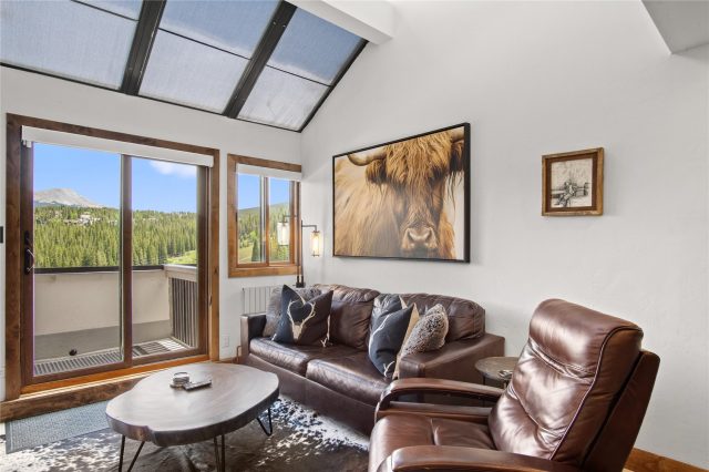 Condo in Beaver Run Condo, Breckenridge, CO — photo 2 (MLS S1070288)