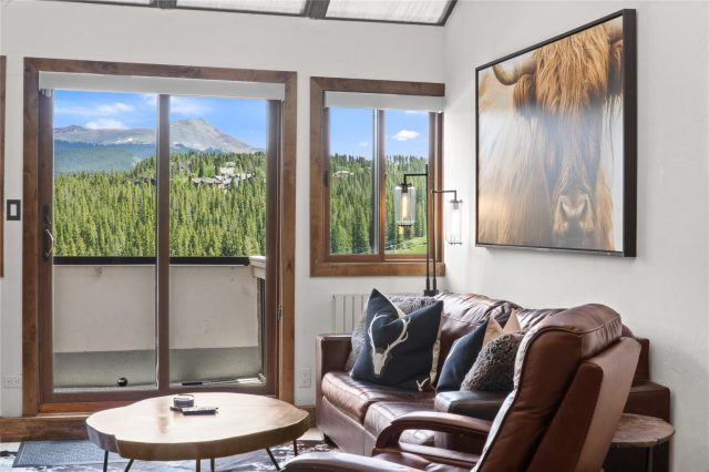 Condo in Beaver Run Condo, Breckenridge, CO — photo 3 (MLS S1070288)
