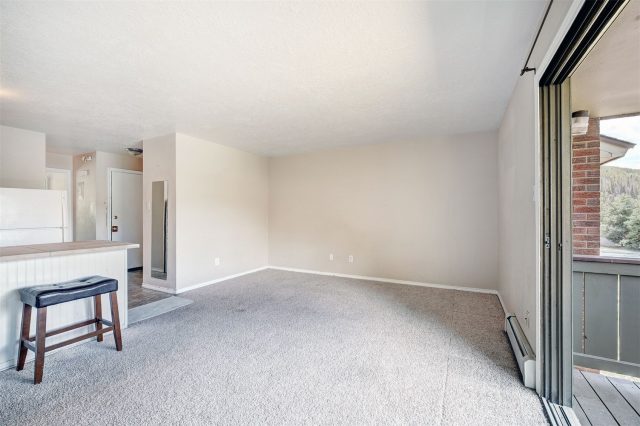 1173 Straight Creek Drive 304 photo 7