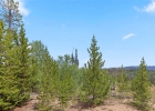 91300 Ryan Gulch Road 314 photo 31 91300 Ryan Gulch Road 314 photo 31